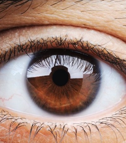 Close-up of person’s eye with brown iris
