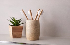 Toothbrushes in cup next to potted plant