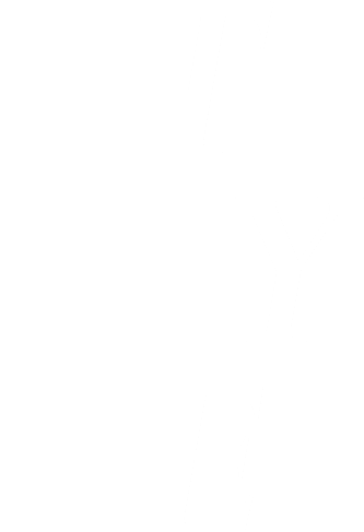 Style in stylized font